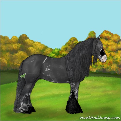 Horse Color:ERROR: UNKNOWN ANOMALY