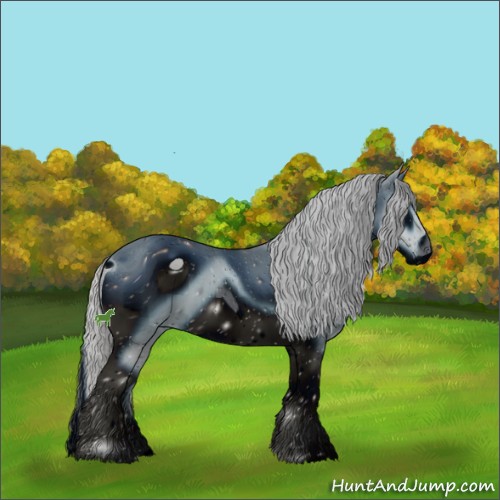 Horse Color:ERROR: UNKNOWN ANOMALY