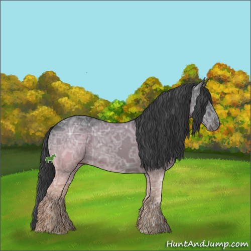 Horse Color:Black Ice 