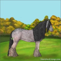 Horse Color:Black Ice 