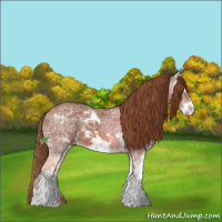 Horse Color:Chestnut Ice Sabino 