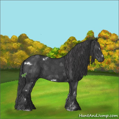 Horse Color:White Spotted Black Sabino 
