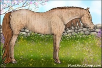 Horse Color:Bay Pearl  and Bay Pearl 