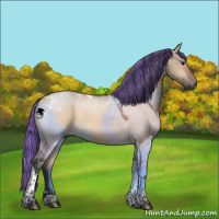 Horse Color:Painted Bay Dun Tobiano 