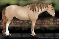 Horse Color:Liver Chestnut Pearl  and Liver Chestnut Pearl 