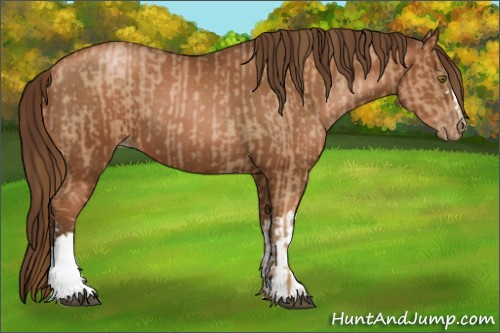 Horse Color:Liver Chestnut Pearl and Gray Liver Chestnut Pearl