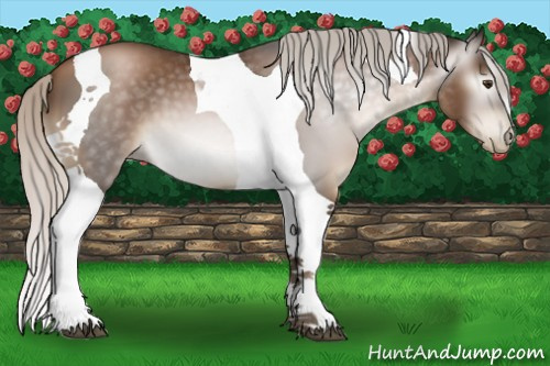 Horse Color:Gray Silver Black Pearl Tobiano