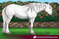 Horse Color:Gray Silver Brown Pearl Tobiano 