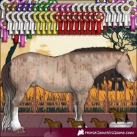 Horse Color:Sable Champagne Dun Sabino Rabicano Brindle