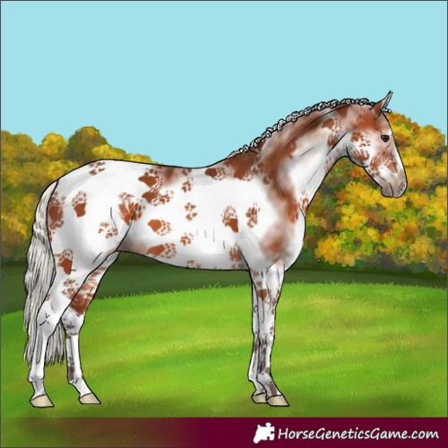 Horse Color:White Spotted Silver Brown Tobiano Frame 