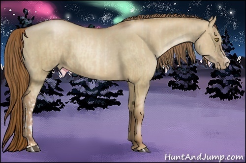 Horse Color:Liver Red Dun Pearl  and Liver Red Dun Pearl 