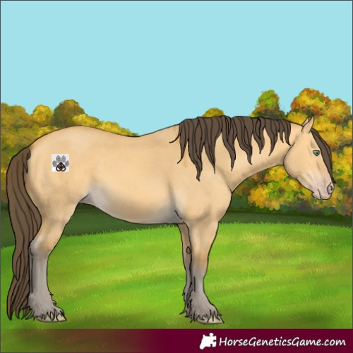 Horse Color:Void Amber Cream Champagne Dun 