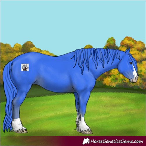 Horse Color:Watercolor Liver Chestnut 