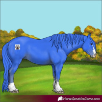 Horse Color:Watercolor Liver Chestnut 