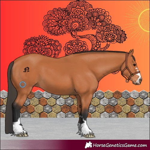 Horse Color:Bay 