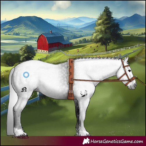 Horse Color:Gray Black 