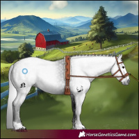 Horse Color:Gray Black 