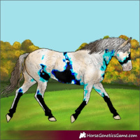 Horse Color:White Spotted Amber Cream Champagne Roan Frame 