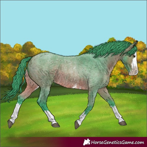 Horse Color:Watercolor Bay Roan Sabino Splash 