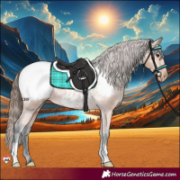 Horse Color:Bay Appaloosa Rabicano 