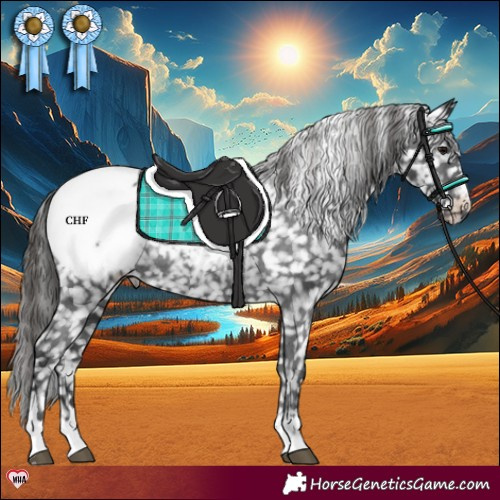 Horse Color:Black Appaloosa Rabicano 
