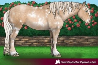 Horse Color:White Spotted Chocolate Palomino Pearl 