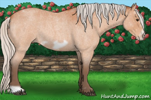 Horse Color:Silver Bay Roan Frame 