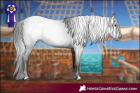 Horse Color:Gray Black 