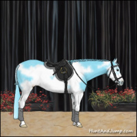 Horse Color:Watercolor Black Splash Frame