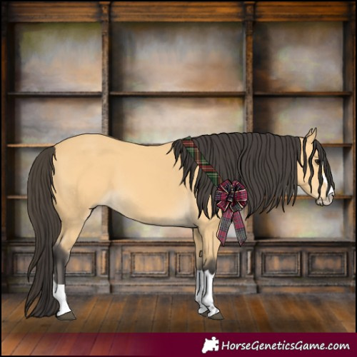 Horse Color:Buckskin 