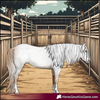 Horse Color:Gray Chestnut 