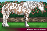 Horse Color:Chocolate Palomino Near Leopard 