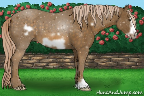 Horse Color:Chocolate Palomino Frame 