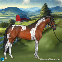Horse Color:Bay Tobiano 