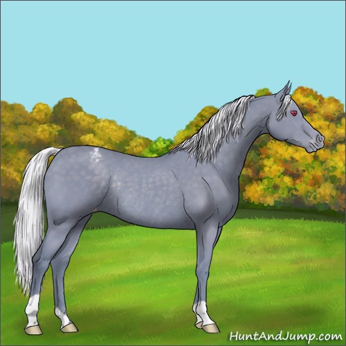 Horse Color:Watercolor Silver Black Chinchilla Appaloosa Rabicano 