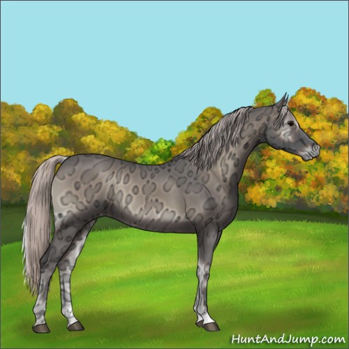 Horse Color:Silver Blue Onyx Ice Sabino 