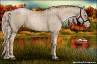 Horse Color:Liver Chestnut Pearl and Chocolate Palomino Pearl