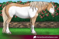 Horse Color:Palomino Frame 
