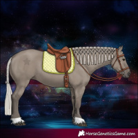 Horse Color:Silver Grullo