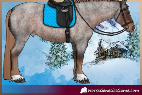 Horse Color:Liver Red Roan 