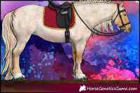 Horse Color:Palomino Roan 