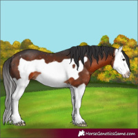Horse Color:Brown Splash Frame 
