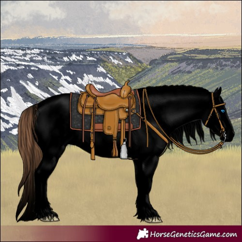 Horse Color:Void Classic Champagne Dun Splash Tobiano Frame Appaloosa 