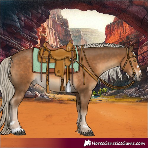 Horse Color:Chocolate Palomino 