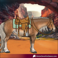 Horse Color:Chocolate Palomino 