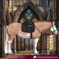 Horse Color:Red Roan Splash 