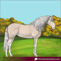 Horse Color:Cremello Splash  and Cremello Splash 