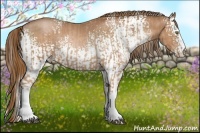 Horse Color:White Spotted Liver Chestnut Pearl and White Spotted Bay Pearl
