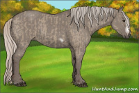 Horse Color:Silver Grullo  and Silver Grullo Frame 
