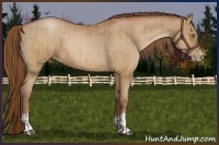 Horse Color:Bay Pearl and Bay Pearl
